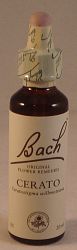 Bach Cerato Flower Remedy (20ml)