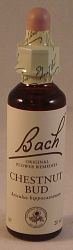 Bach Chestnut Bud Flower Remedy (20ml)