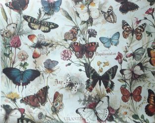 Gift Wrapping Paper. Large Size 1m x 0.7m. Butterflies Design