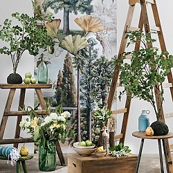 Bomo Wall Decor The Mysterious Life of Trees Design