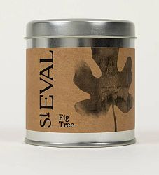 Fig Tree Scented Candle in a Tin