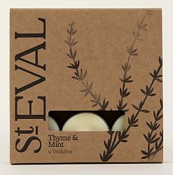 Thyme & Mint Scented Tealights (9) two packs