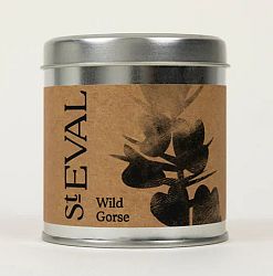 Wild Gorse Scented Candle in a Tin